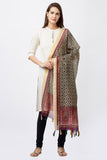Digital Heritage Motif Print Chanderi Silk Dupatta